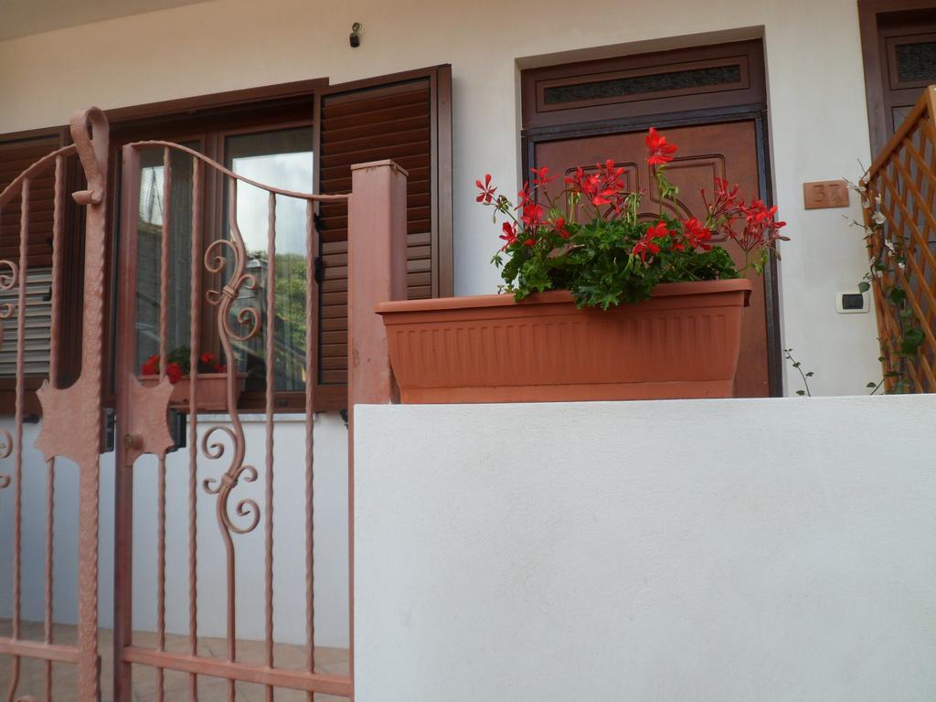 Appartamenti Camerota