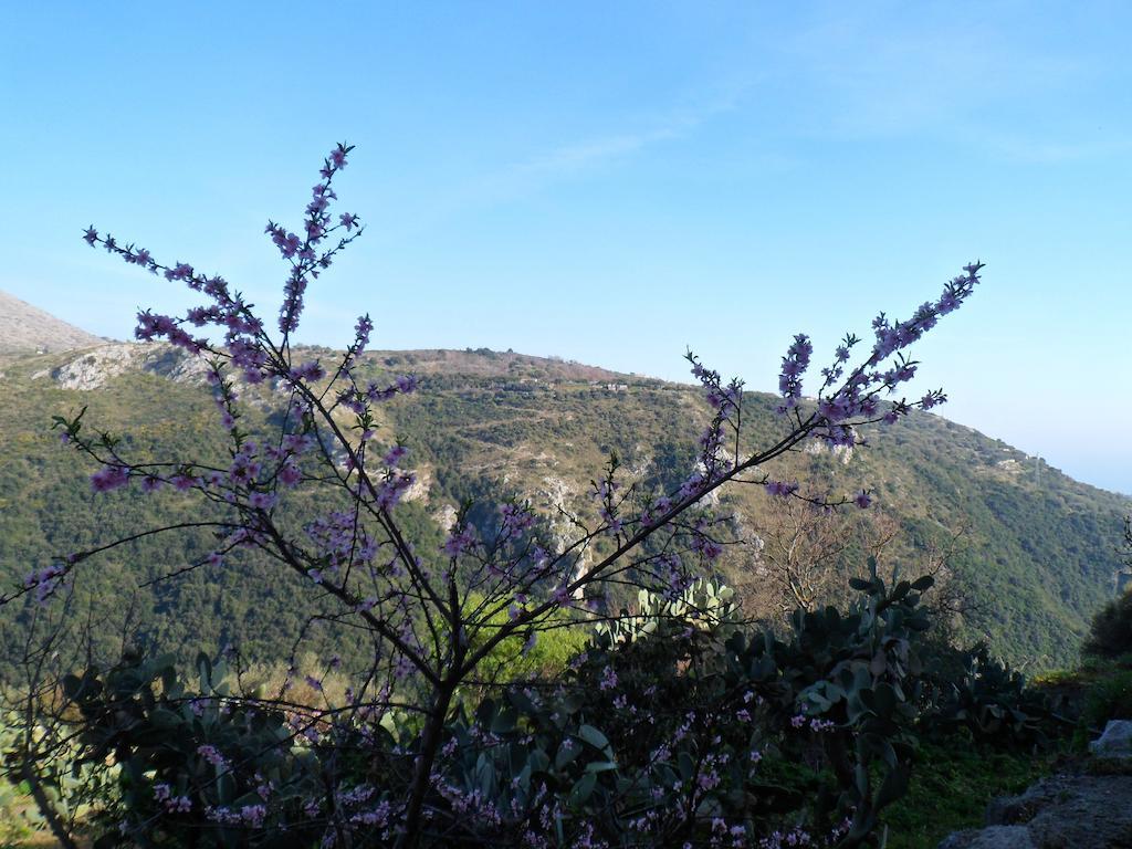 Apartment Appartamenti Camerota